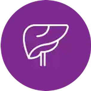 Liver Cancer Immunotherapy